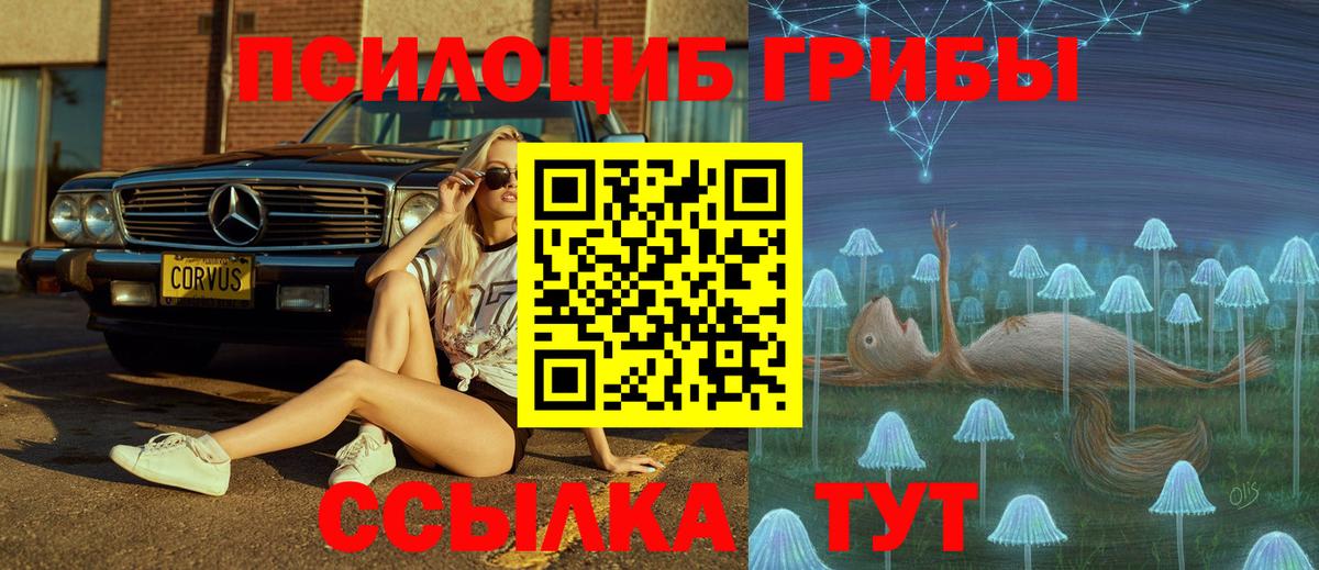 Псилоцибиновые грибы ЛСД Мирный